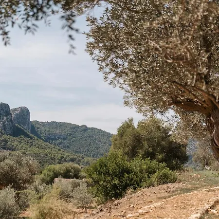 Son Brull & Hotel Pollenca